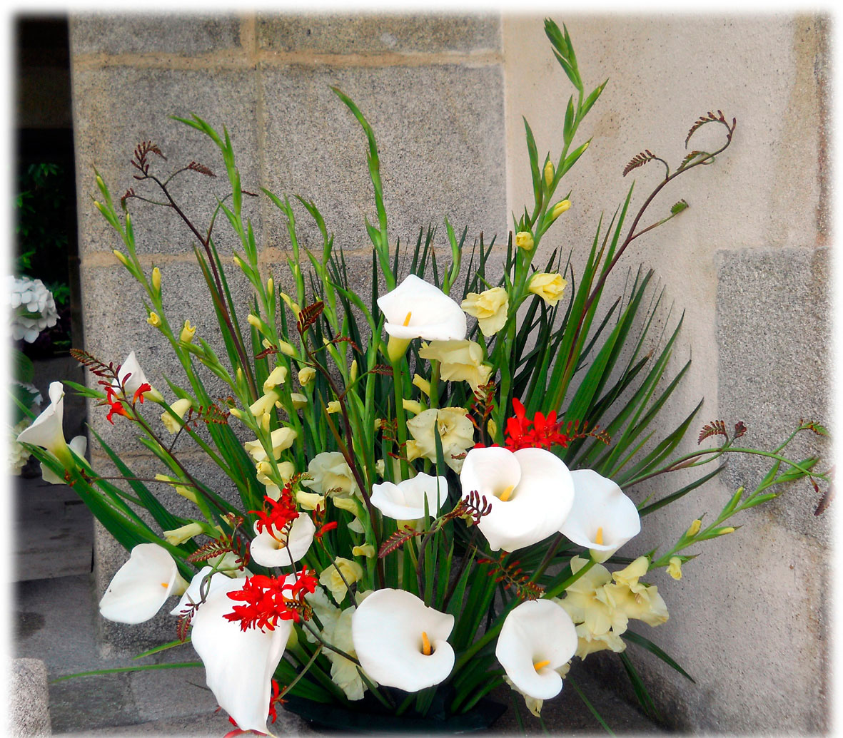 06-Fleurs1